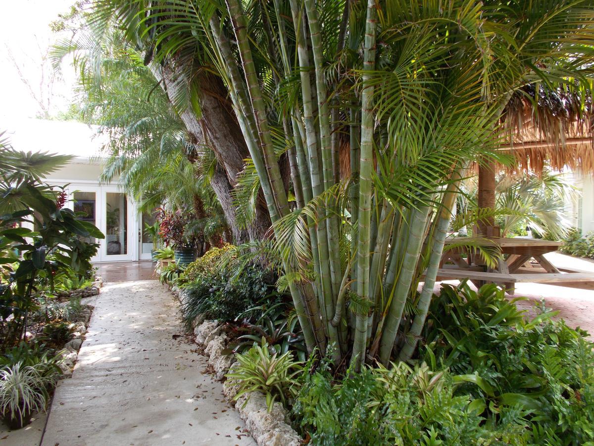 Kona Kai Resort And Gallery (Adults Only) Key Largo Luaran gambar